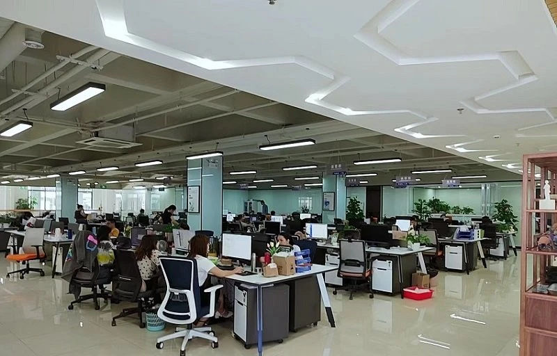 my company 3